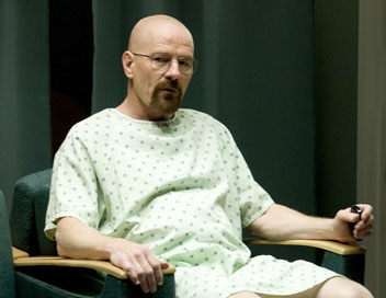 breaking-bad saison-4 episode-8-freres-et-partenaires